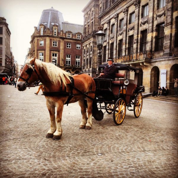 ヨーロッパツアー2015 #14　アムステルダム